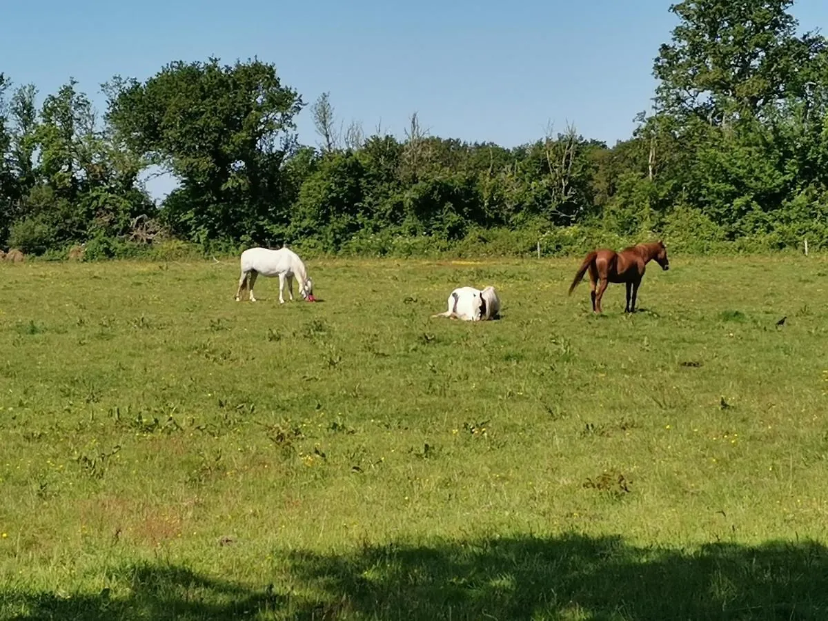 Holiday home Les Cerisiers Du Rouz Villa Fouesnant